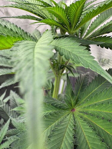 Growreport Bild 8