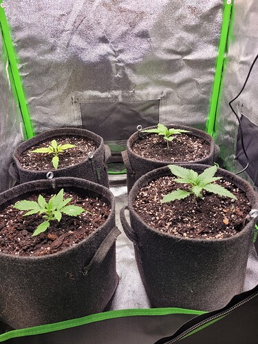 Growreport Bild 6
