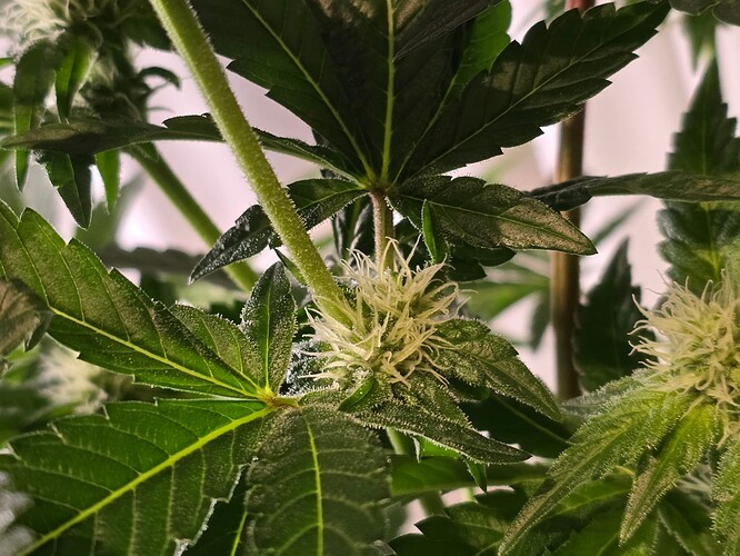 Growreport Bild 2