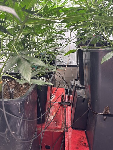Growreport Bild 17