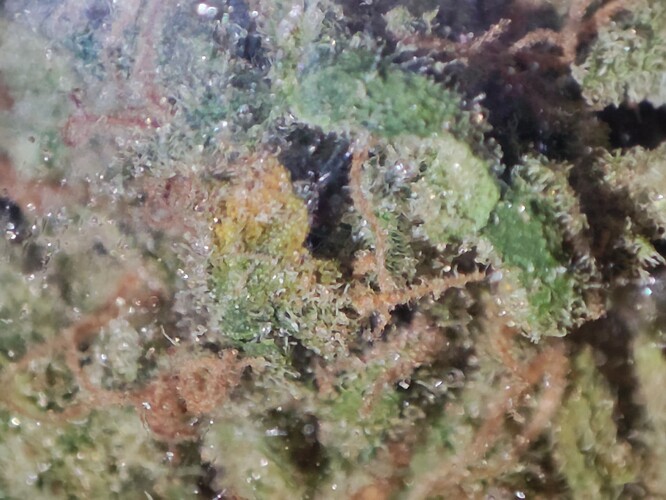 Growreport Bild 14