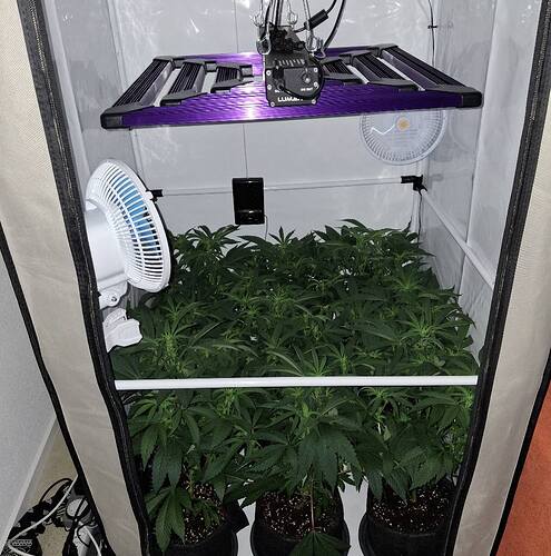 Growreport Bild 26