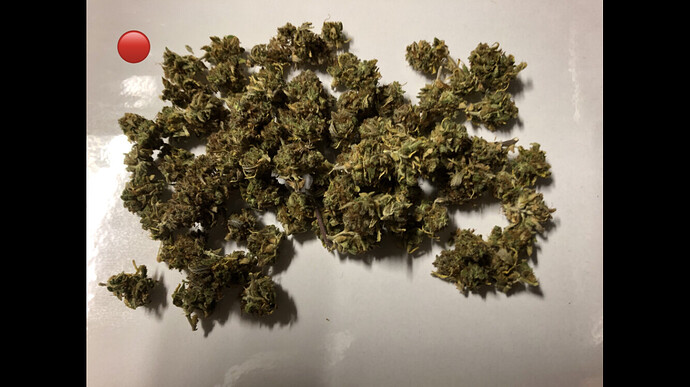 Growreport Bild 3