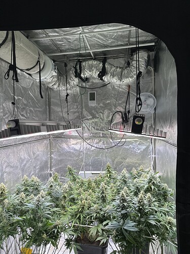 Growreport Bild 1