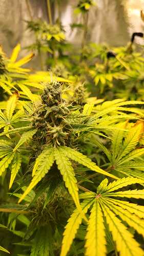 Growreport Bild 11