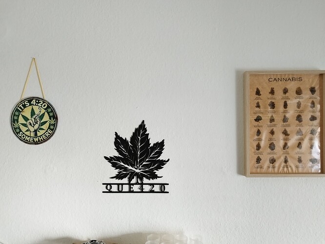 Ein gerahmtes Poster mit dem Titel "Cannabis" hängt an einer weißen Wand. Darunter sind verschiedene Cannabis-Buds abgebildet. Links davon hängt ein rundes Schild mit der Aufschrift "IT'S 4:20 SOMEWHERE" und einer Marihuana-Blatt-Grafik. In der Mitte befindet sich eine schwarze Metall-Dekoration in Form eines Marihuana-Blatts mit dem Schriftzug "QUE420" darunter.