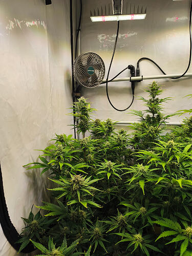 Growreport Bild 7