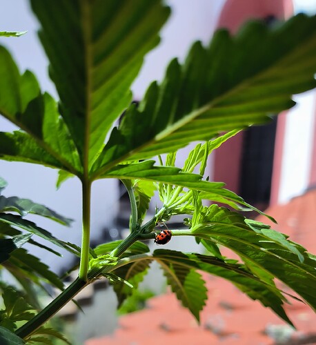 Growreport Bild 5