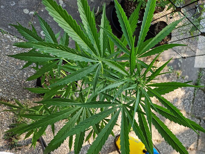 Growreport Bild 16