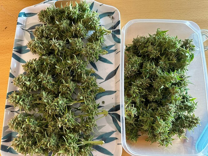 Growreport Bild 6