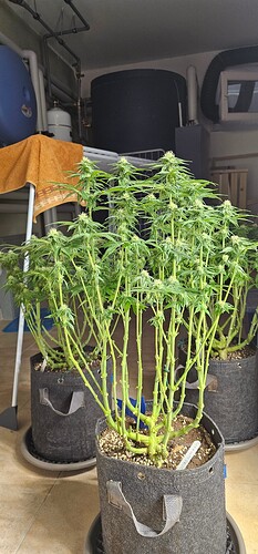 Growreport Bild 9