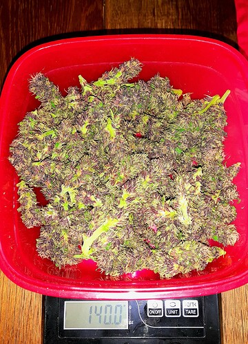 Growreport Bild 11