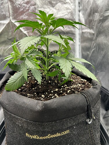 Growreport Bild 7