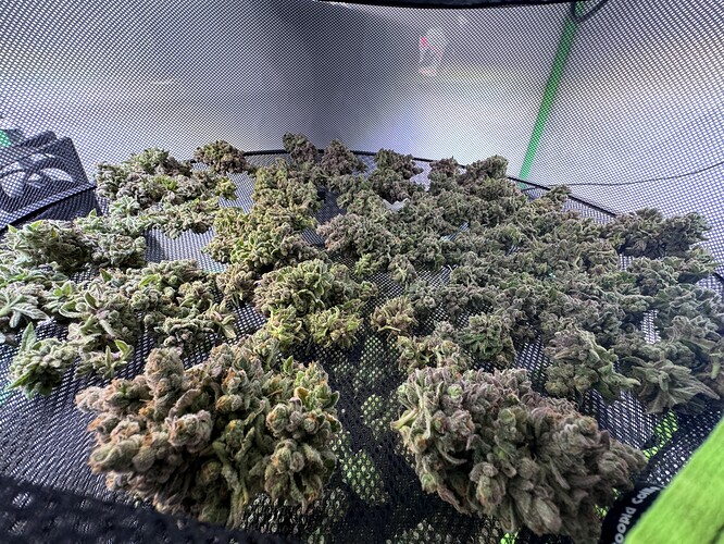 Growreport Bild 25