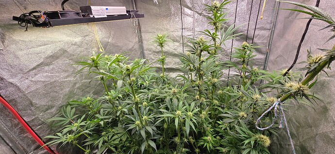 Growreport Bild 5