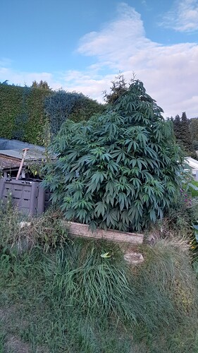 Growreport Bild 14