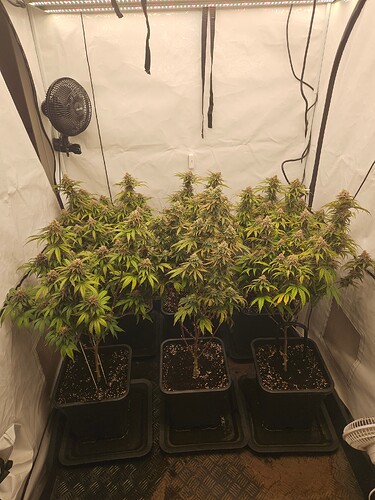 Growreport Bild 12