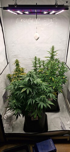 Growreport Bild 23