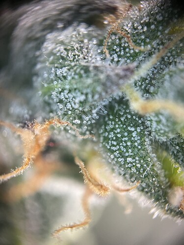 Growreport Bild 18