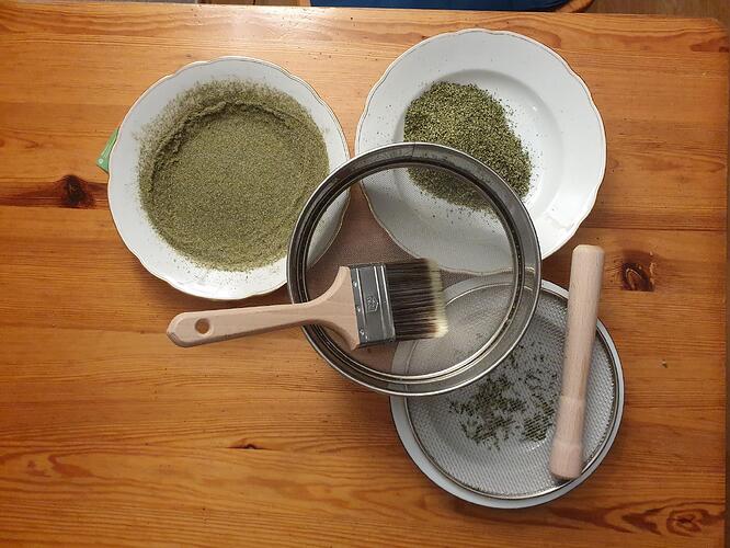 Growreport Bild 3