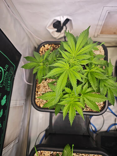 Growreport Bild 24