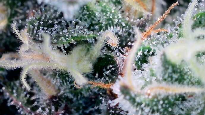 Growreport Bild 18