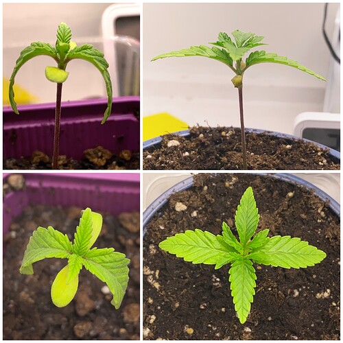 Growreport Bild 18