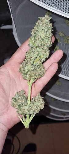 Growreport Bild 52