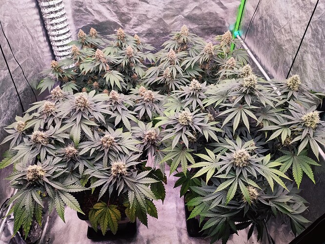 Growreport Bild 10