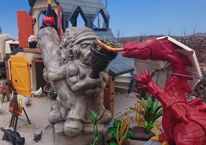 Drache1