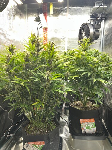 Growreport Bild 2