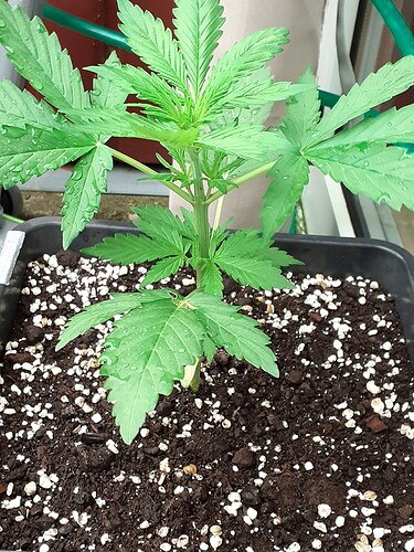 Growreport Bild 23