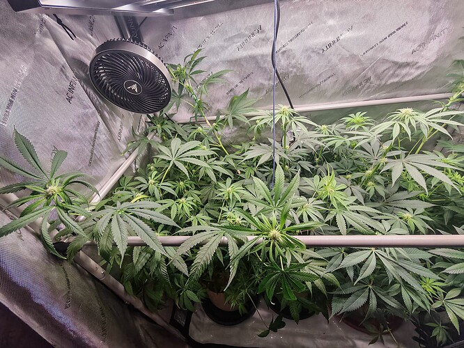 Growreport Bild 9