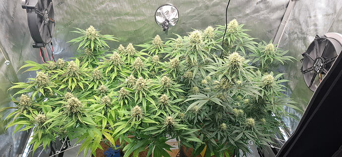 Growreport Bild 8