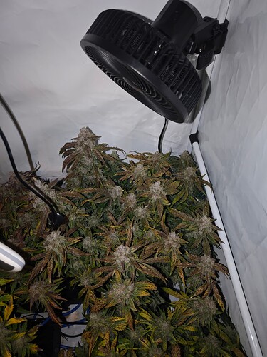 MVIMG_20251128_150006