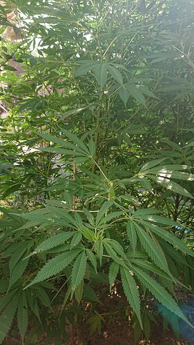 Growreport Bild 15