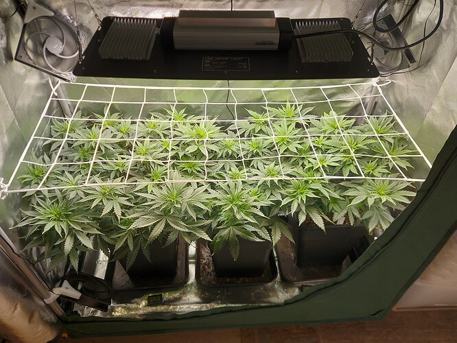 Growreport Bild 8