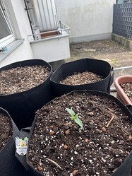 Growreport Bild 6
