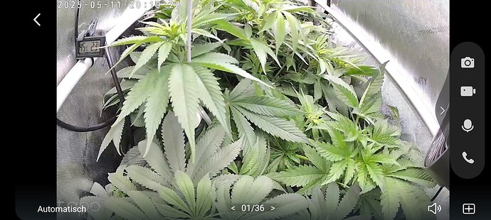 Growreport Bild 9