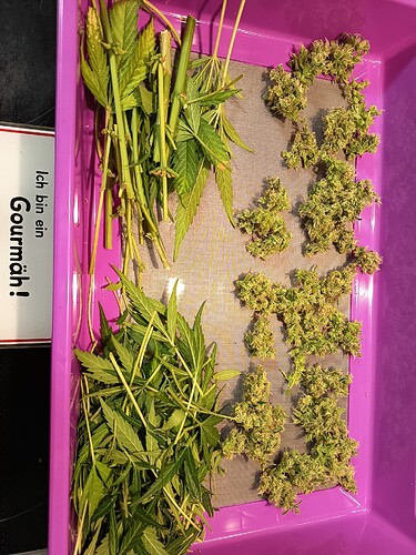 Growreport Bild 15