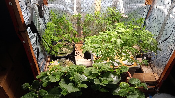 Growreport Bild 9