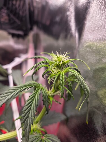 Growreport Bild 3