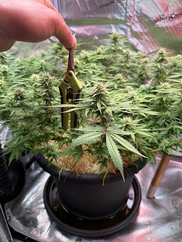 Growreport Bild 24