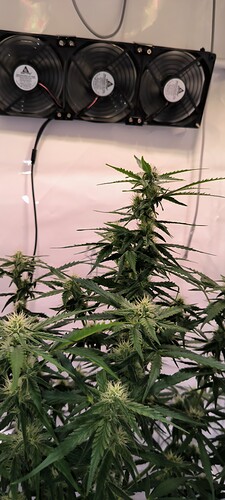 Growreport Bild 5