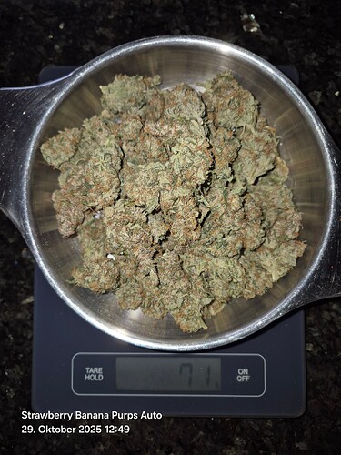 Growreport Bild 11