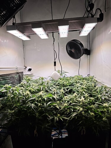 MVIMG_20251028_175535