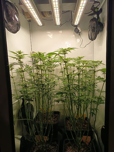 Growreport Bild 10