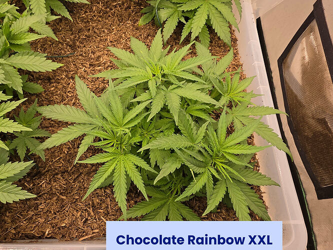 20260307_213402_edited_