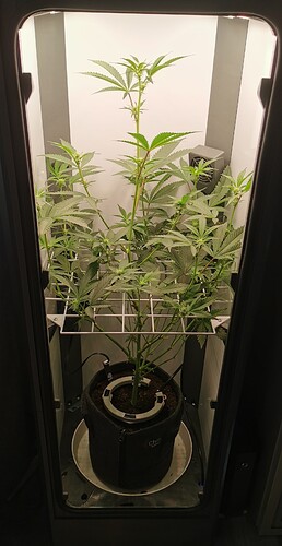 IMG_20240523_190046_edit_141099042948780