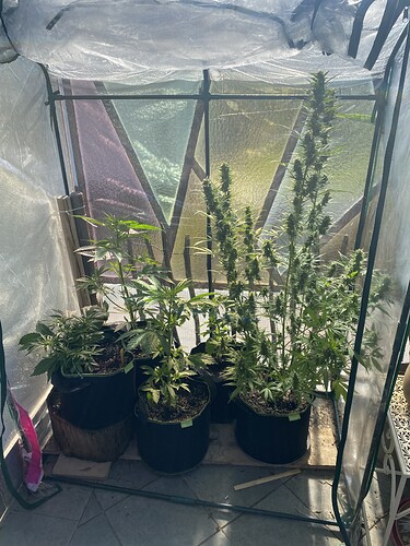 Growreport Bild 2